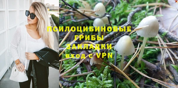 PSILOCYBIN Богородск