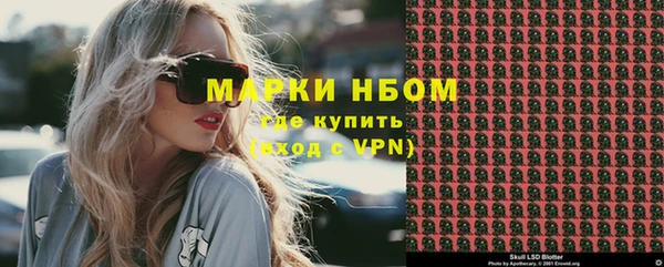 индика Аркадак