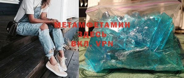 индика Аркадак