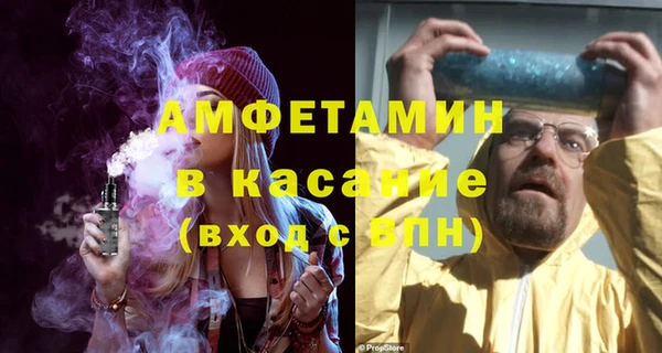индика Аркадак