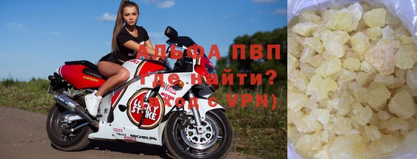 индика Аркадак