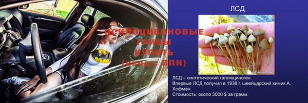 индика Аркадак