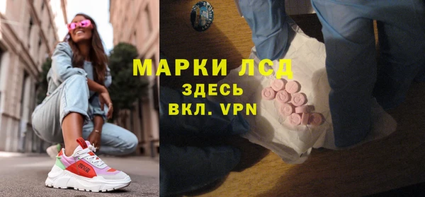 индика Аркадак