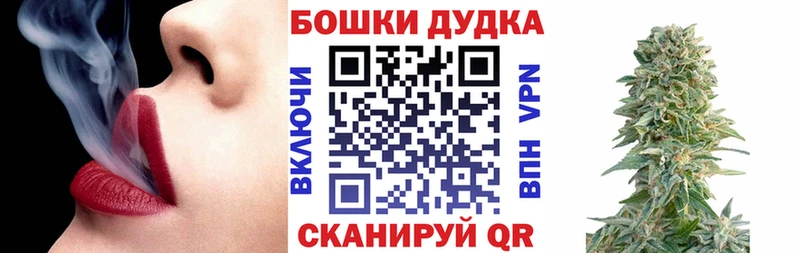 Бошки Шишки планчик  Жиздра 
